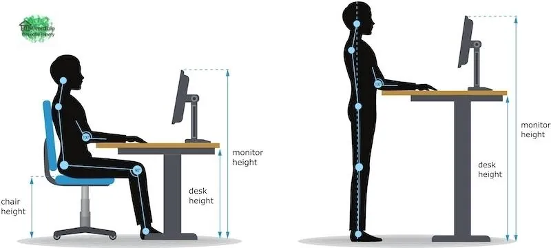 What desk height do I need